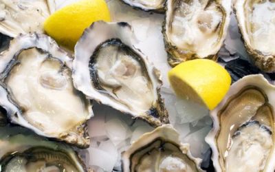 Virginia Oyster Popularity