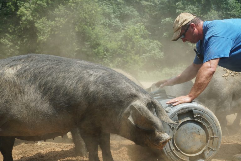 Andrew Crush Working on Farm
