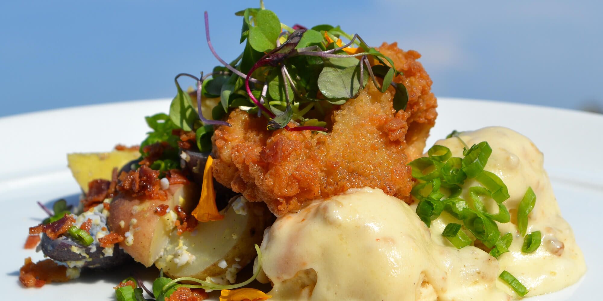 Meet the 5 Newest Taste of Blue Ridge Top Chefs