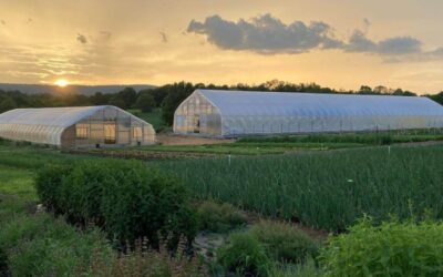 Get Ready for Blue Ridge Sprouts!