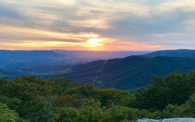 Discover Root to Table’s Culinary Festival at Mountain Lake Lodge in Southwest Virginia