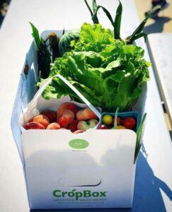 Box of fruits and vegetables from West Oaks Farm Market