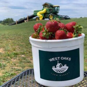 May’s Harvest – Strawberries and more!