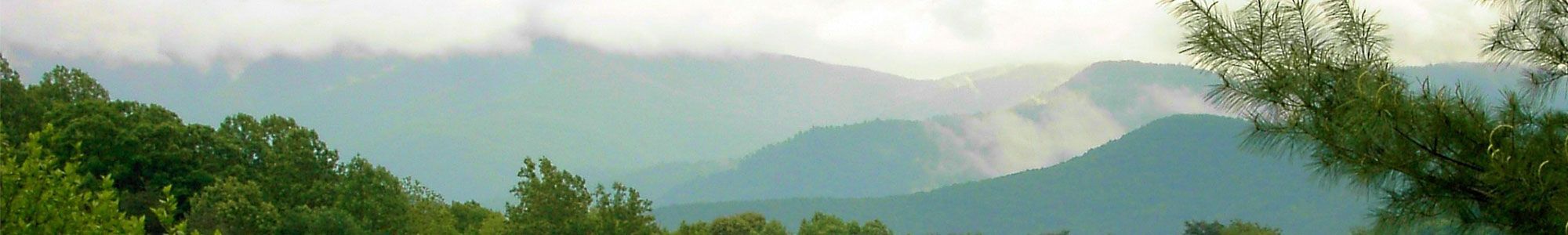 Taste This – Blue Ridge Root to Table Kick Off 2018