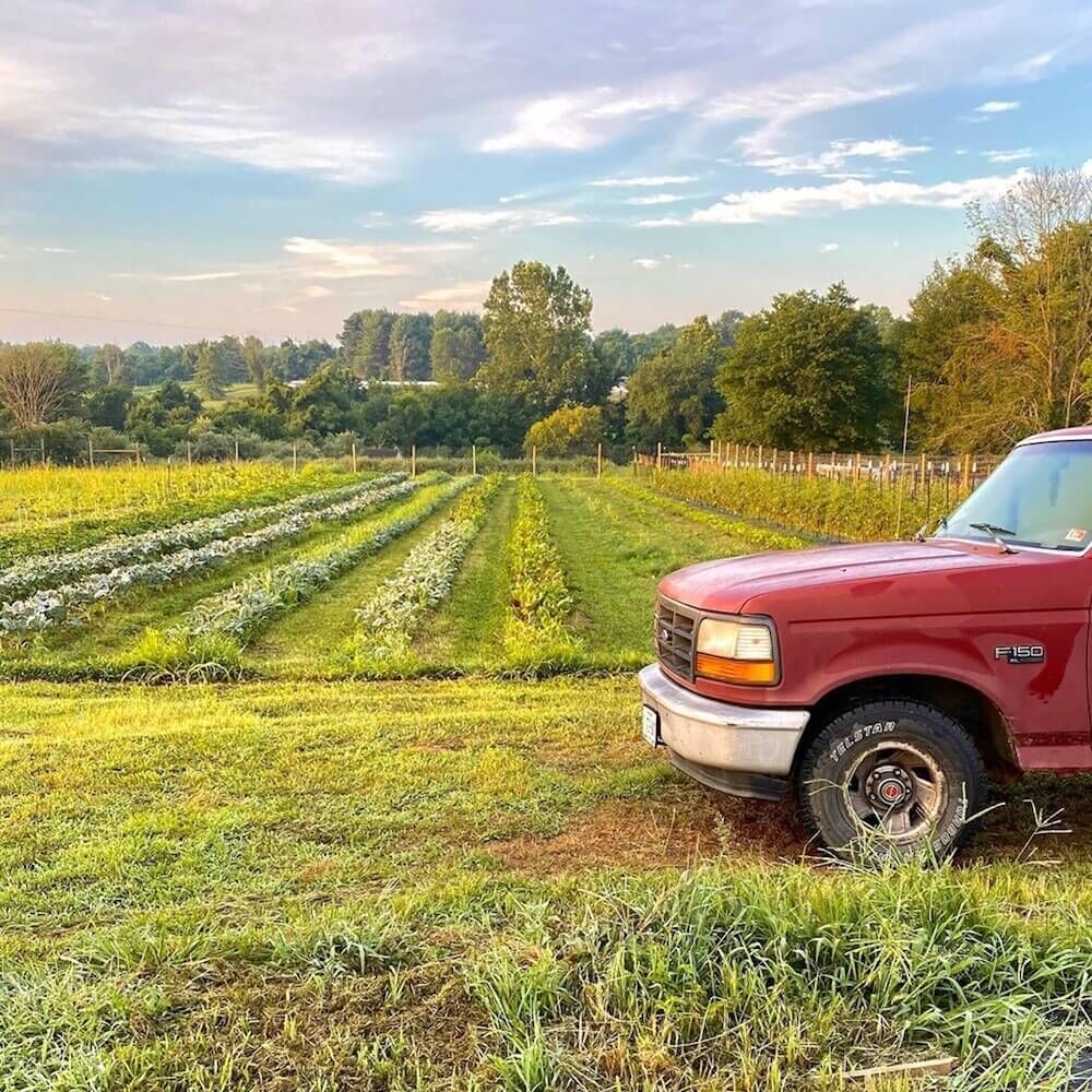 Blue Ridge Sprouts: Nourish – Savor – Learn