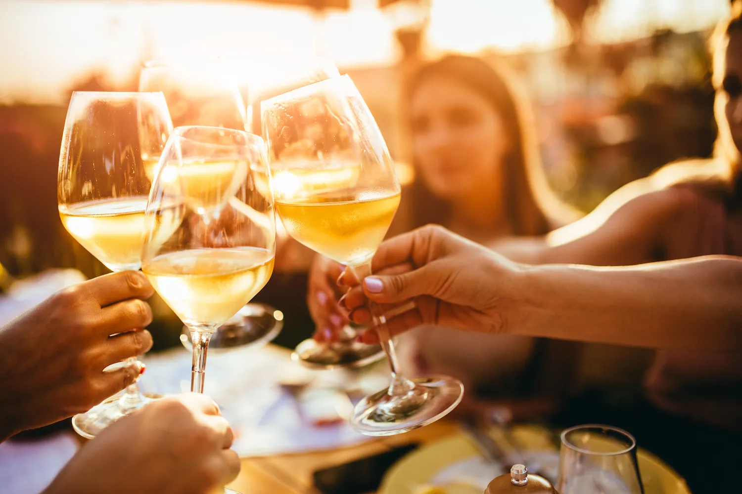 Rooted Stories: Weathering the Season – Rappahannock Cellars